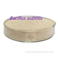 feed additive Bacillus subtilis insoluble water 400CFU/G